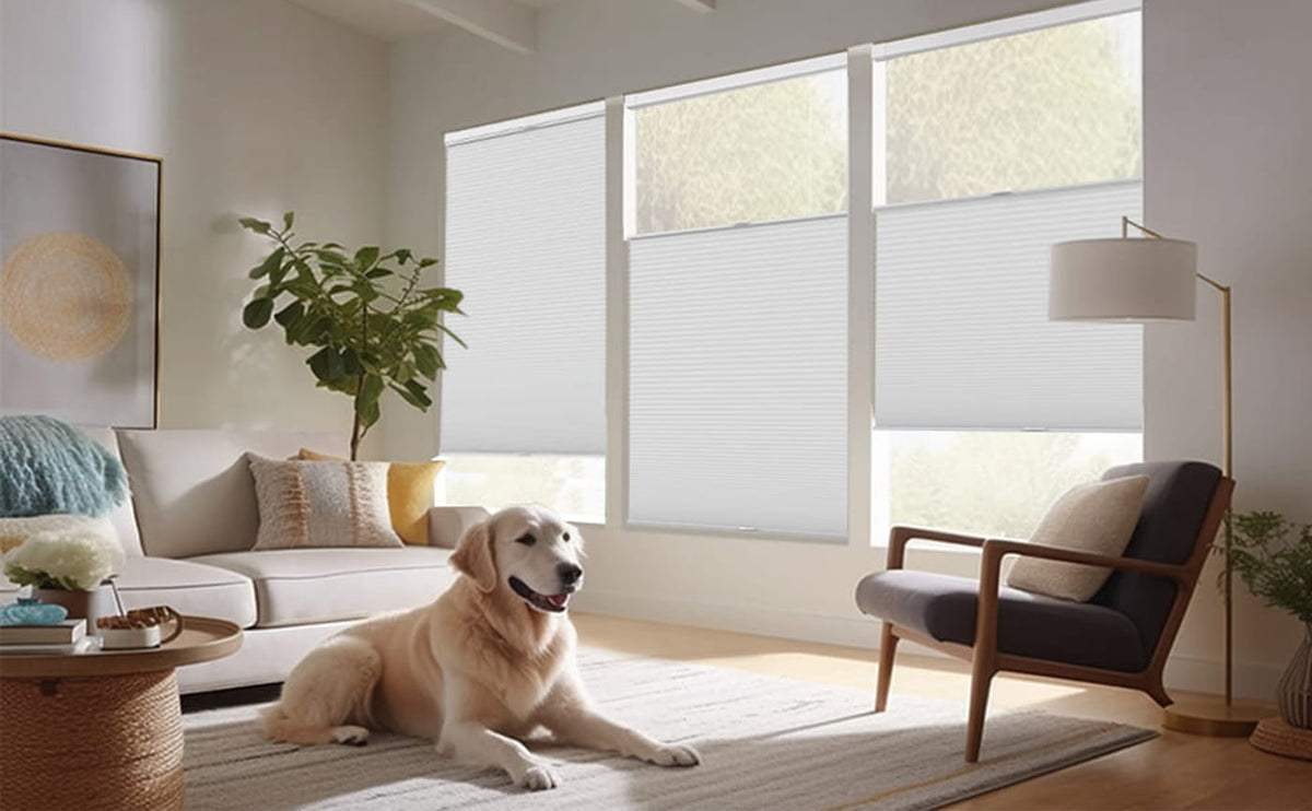 Top-down bottom-up cellular shades in a living room beside a dog