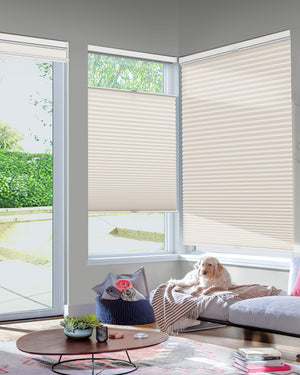 Cream top-down bottom-up cellular honeycomb shade: in a furnished room