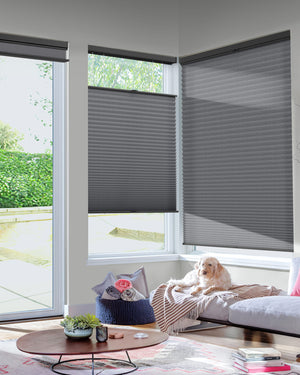Dark gray top-down bottom-up cellular honeycomb shade: in a furnished room