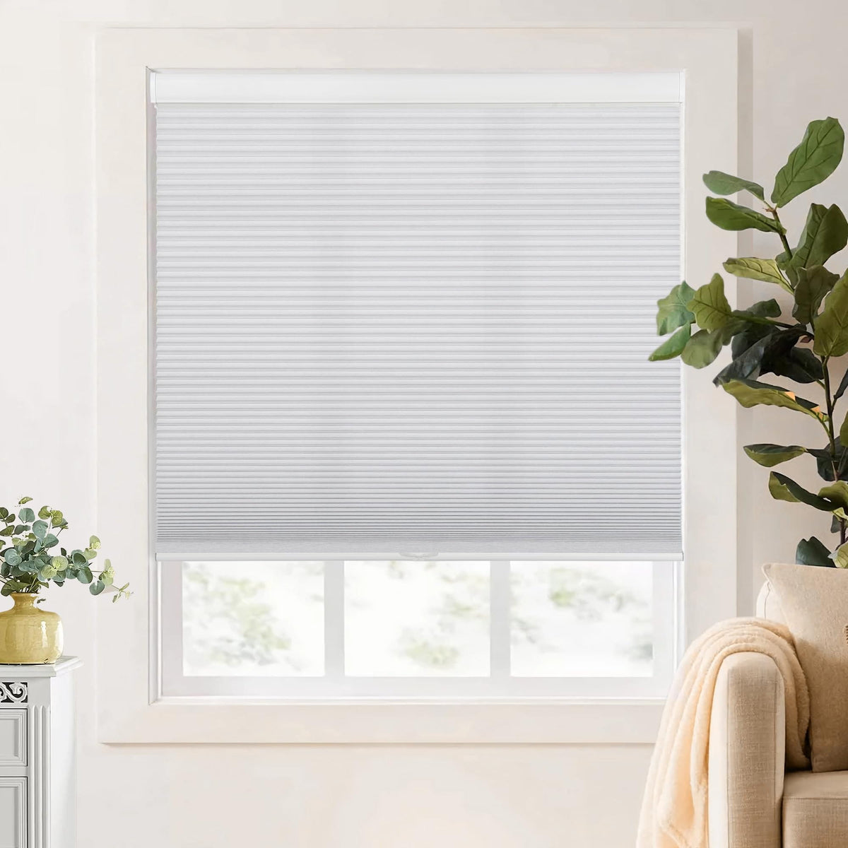 White cellular honeycomb shade: on a window