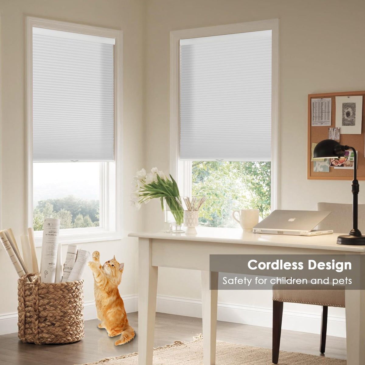 White cellular honeycomb shade: on paired windows