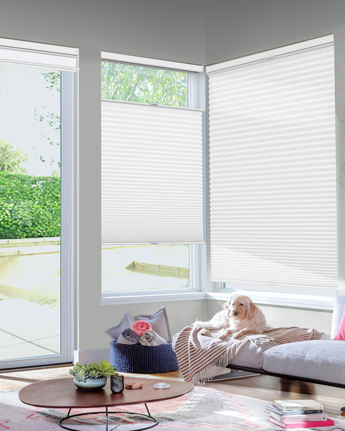 White top-down bottom-up cellular honeycomb shade: in a furnished room