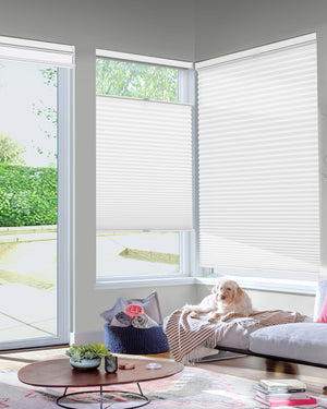 White top-down bottom-up cellular honeycomb shade: in a furnished room