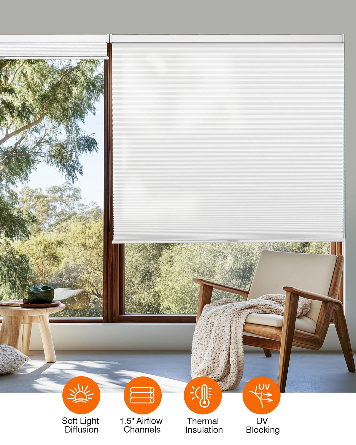 White cellular honeycomb shade: in a furnished room