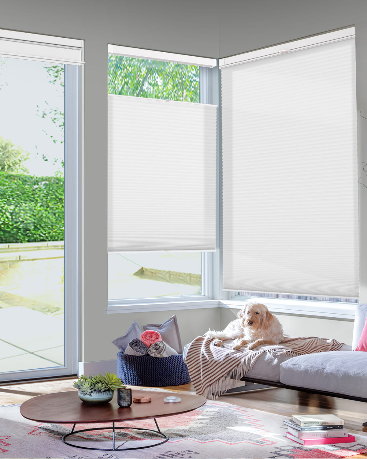 White top-down bottom-up no-drill cellular honeycomb shade: in a furnished room