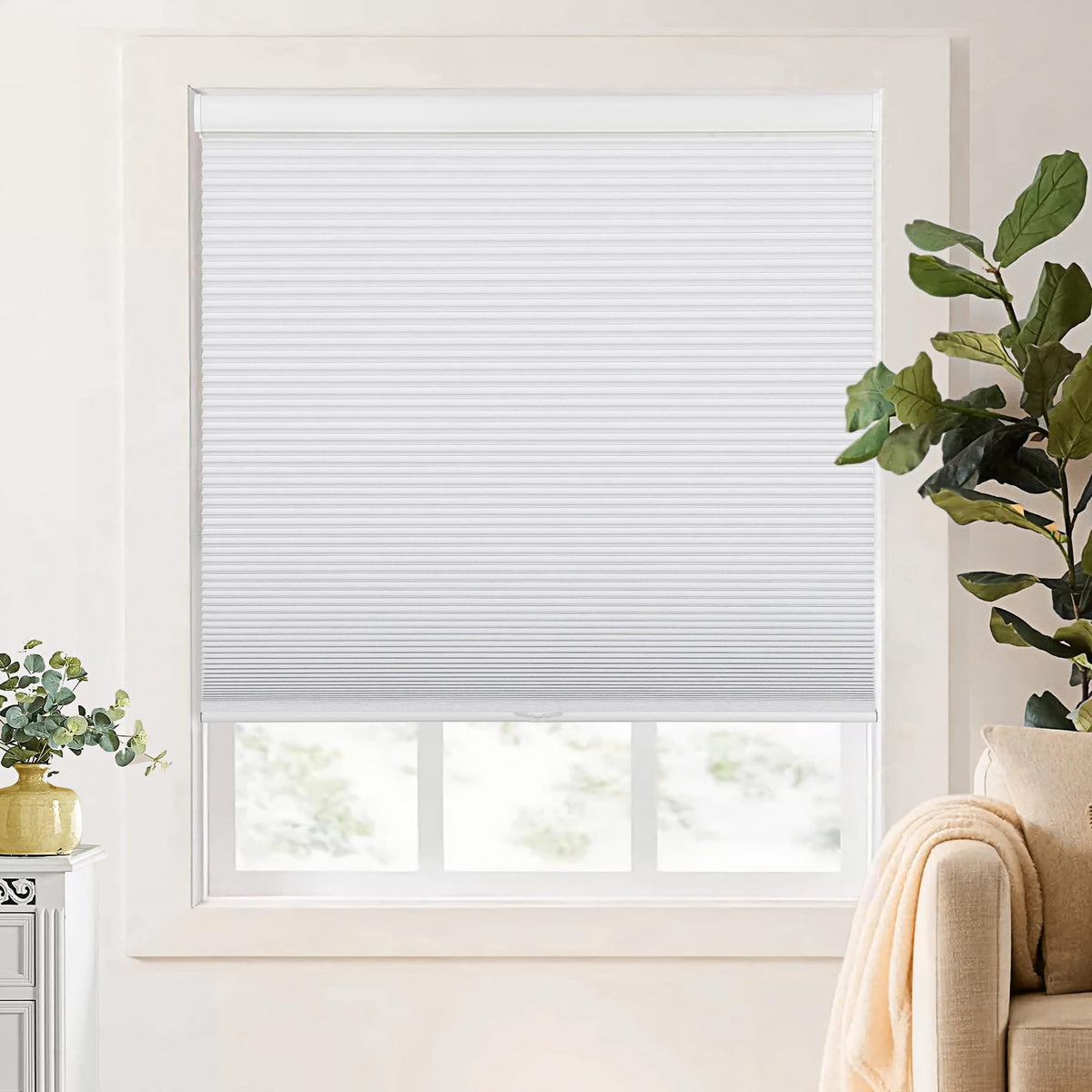 White cellular honeycomb shade: on a window