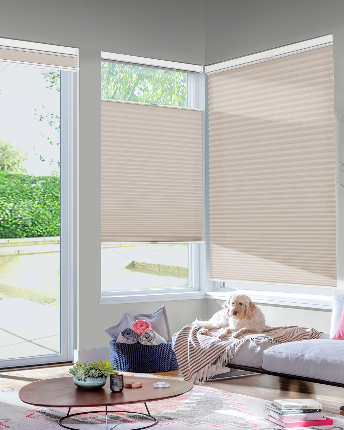 Taupe top-down bottom-up cellular honeycomb shade: in a furnished room