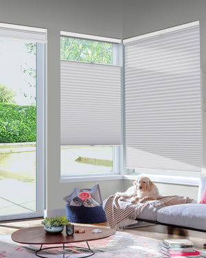 Gray top-down bottom-up cellular honeycomb shade: in a furnished room