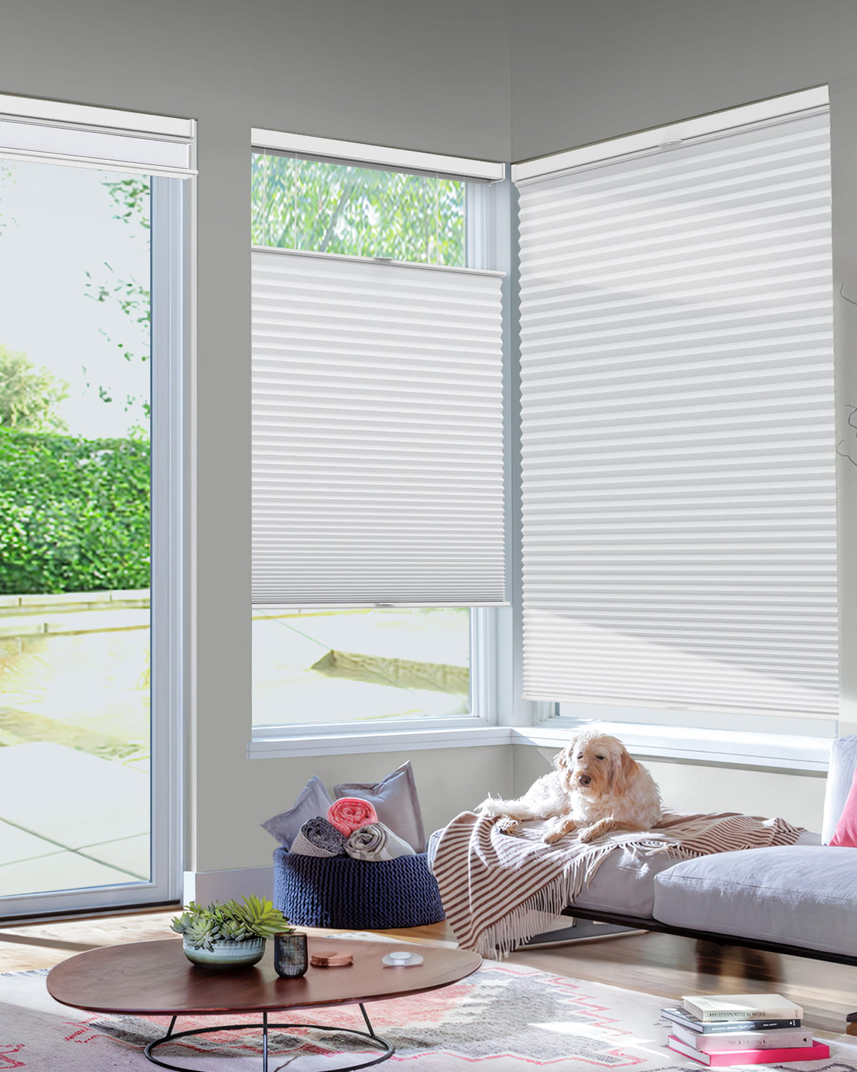 White top-down bottom-up cellular honeycomb shade: in a furnished room