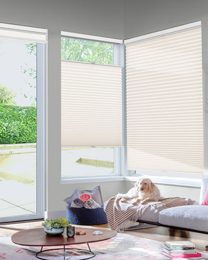 Cream top-down bottom-up cellular honeycomb shade: in a furnished room