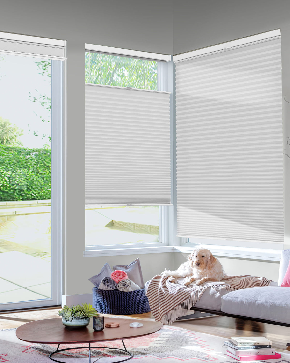Gray top-down bottom-up cellular honeycomb shade: in a furnished room