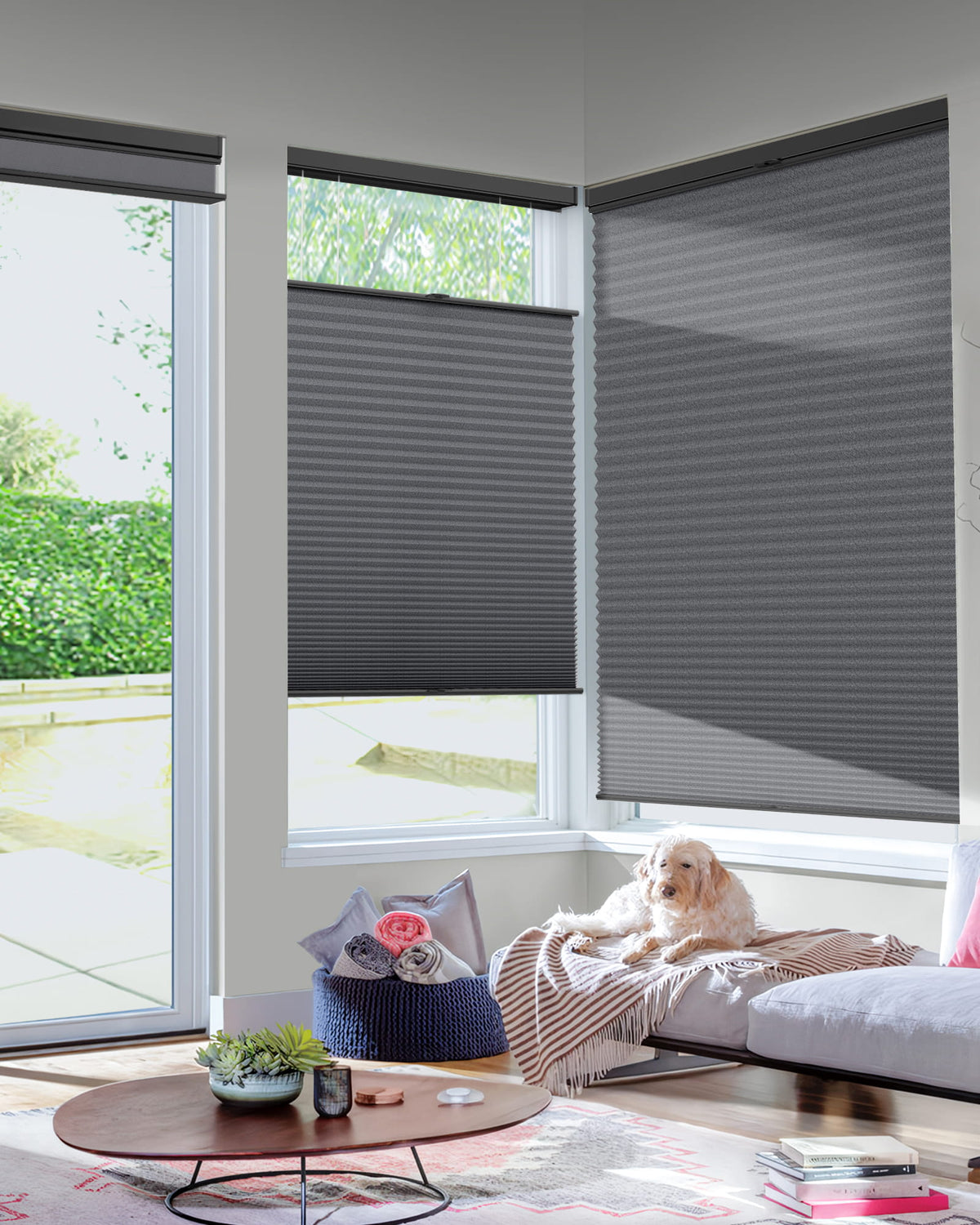 Dark gray top-down bottom-up cellular honeycomb shade: in a furnished room