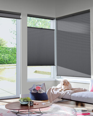 Dark gray top-down bottom-up cellular honeycomb shade: in a furnished room