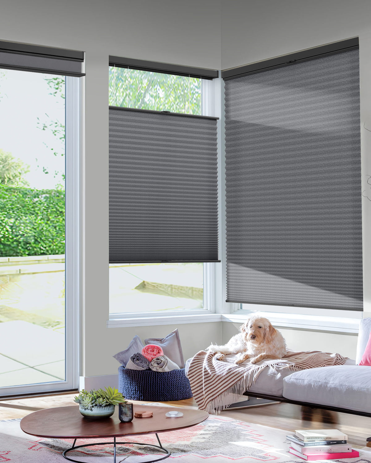 Dark gray top-down bottom-up cellular honeycomb shade: in a furnished room