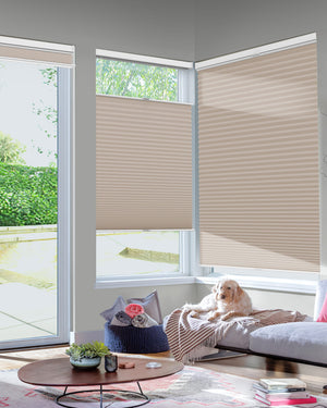 Taupe top-down bottom-up cellular honeycomb shade: in a furnished room