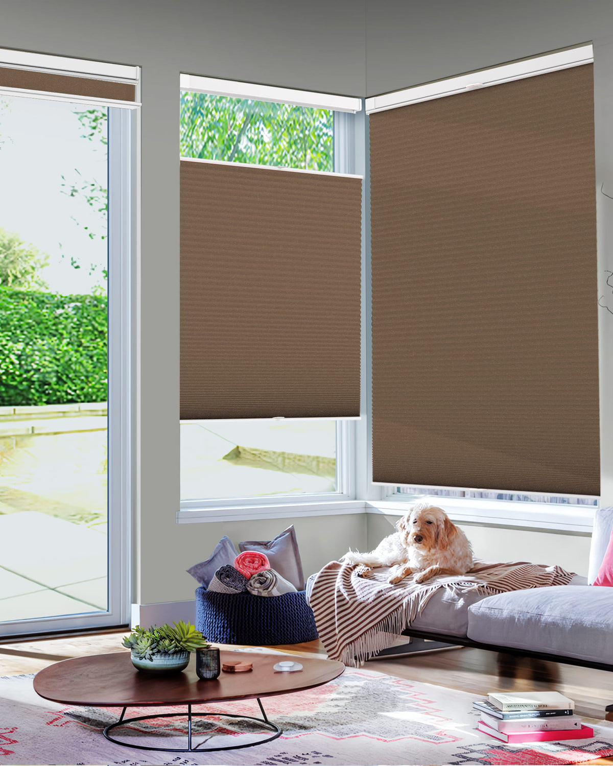 Brown top-down bottom-up no-drill cellular honeycomb shade: in a furnished room