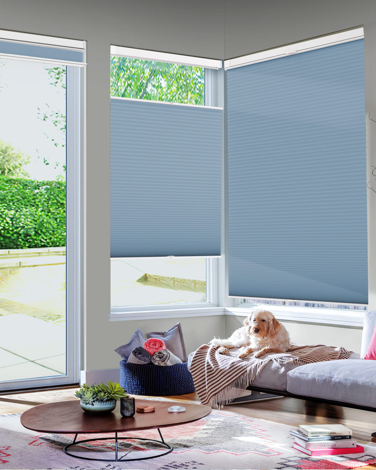 Blue top-down bottom-up no-drill cellular honeycomb shade: in a furnished room