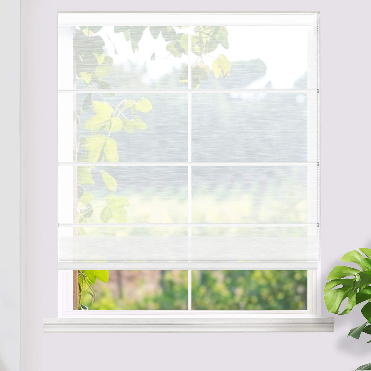 White Roman shade: on a window