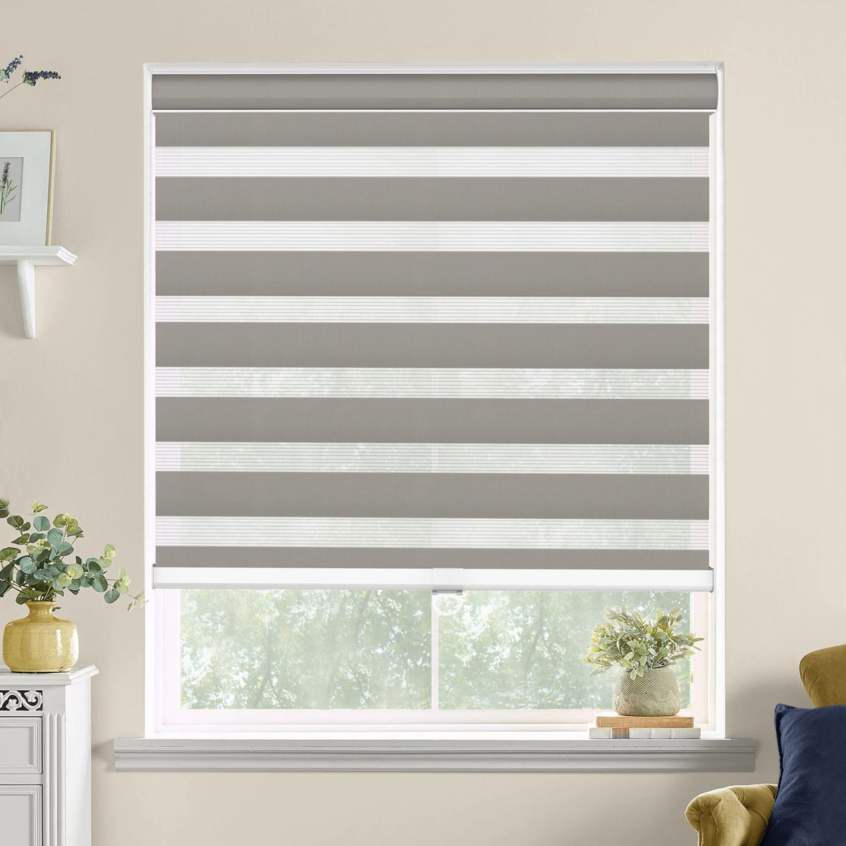 Gray zebra blind: on a window