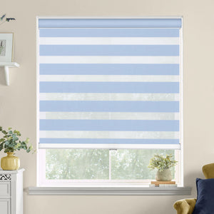 Blue zebra blind: on a window