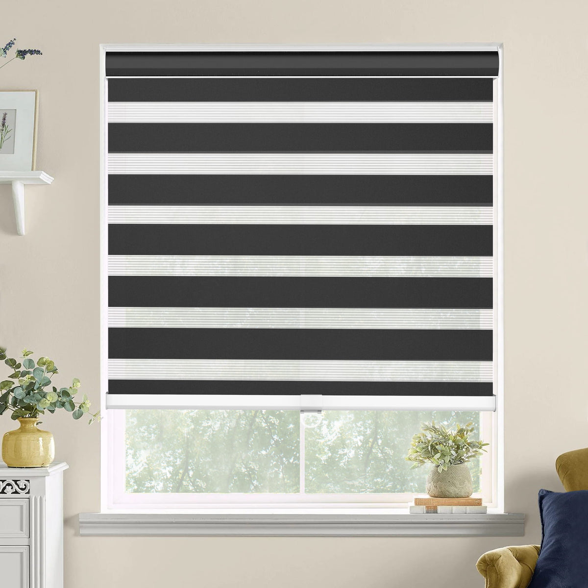 Black zebra blind: on a window