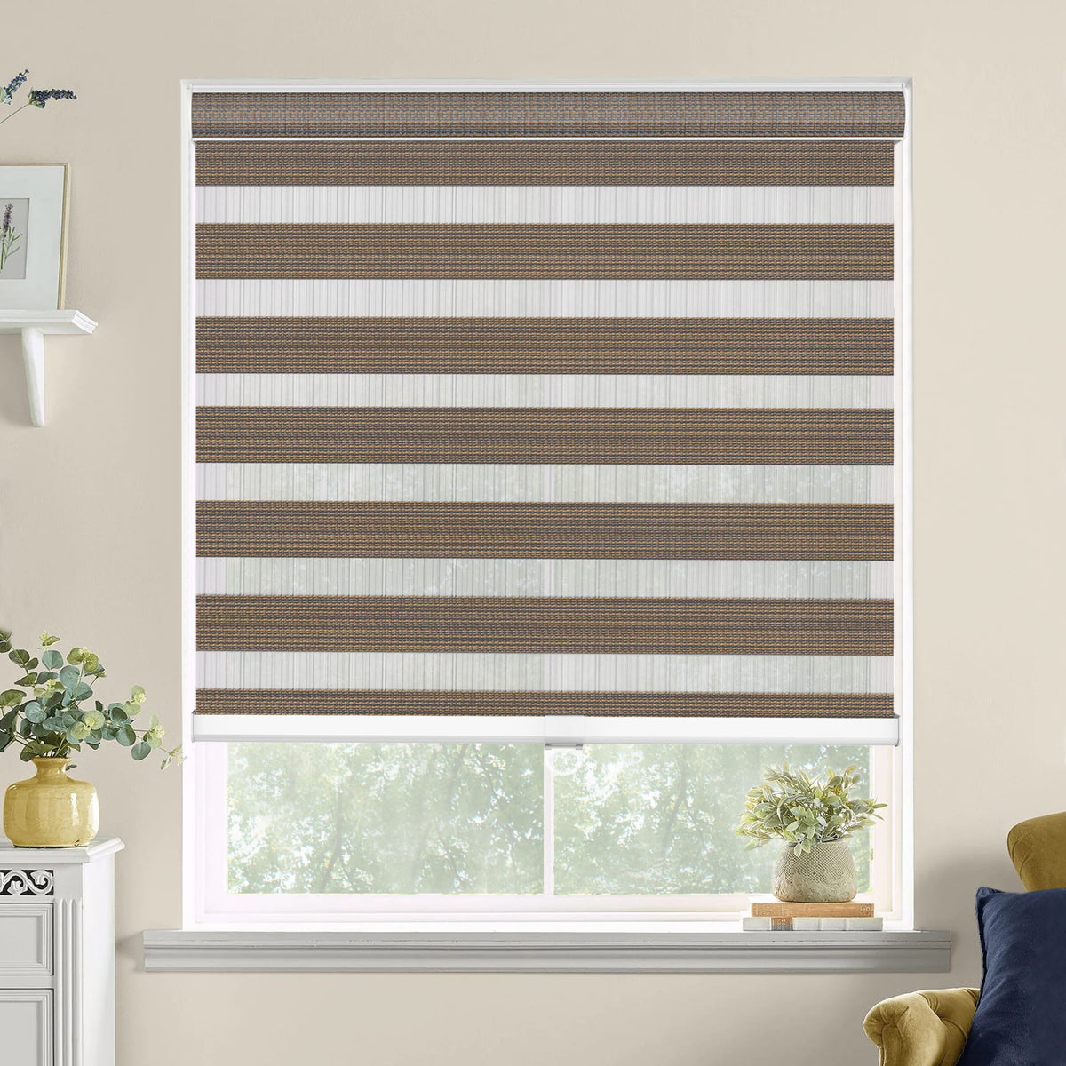 Brown zebra blind: on a window